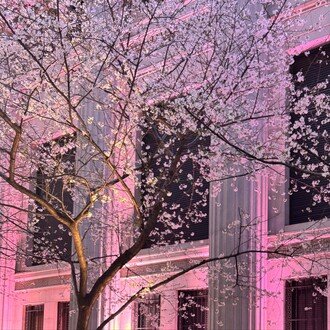 アラサー日本橋会社員のお出かけ記録