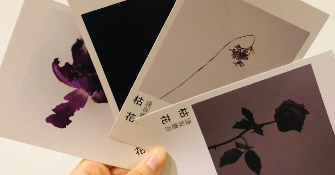 すっごい生きてた：逢坂憲吾「枯花」＠JamPhotoGallery｜なかむら