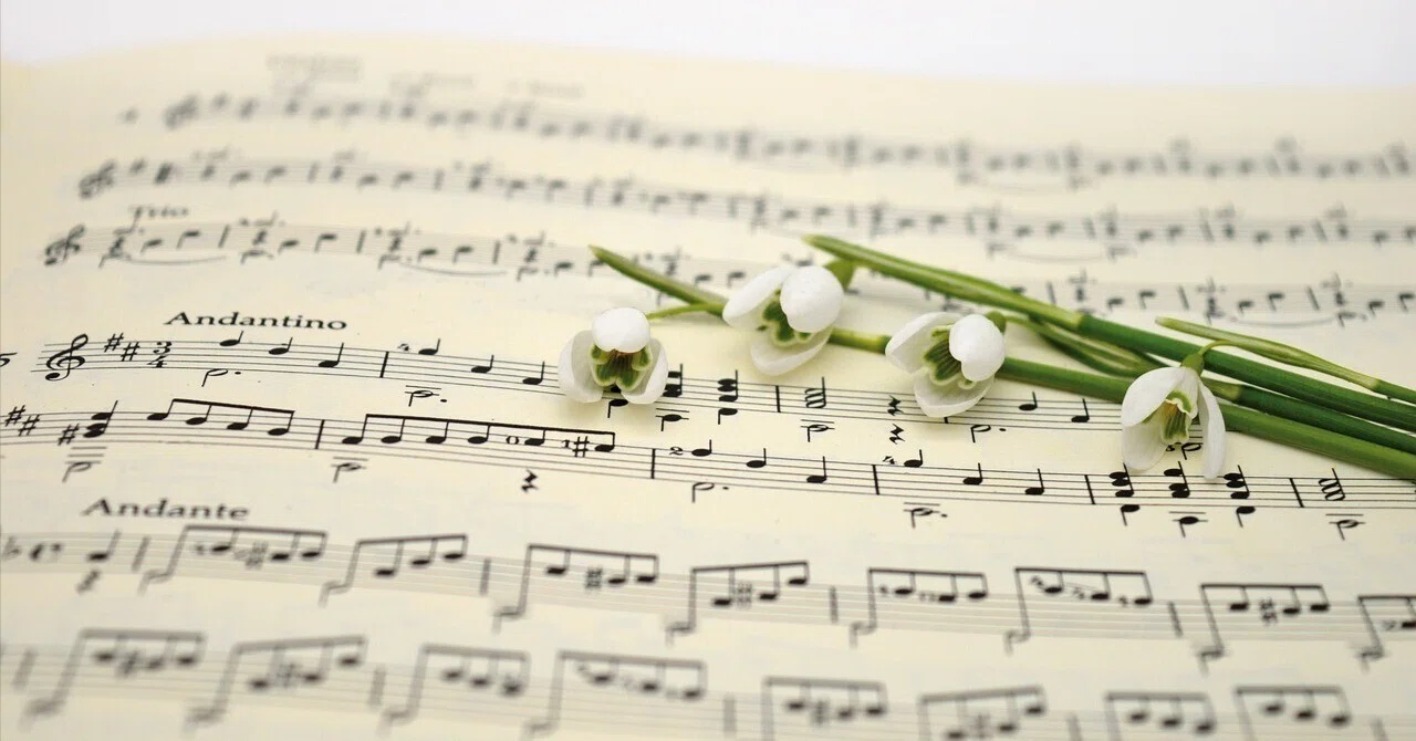How to play beautiful high notes on the flute? - Causes for difficulty ...