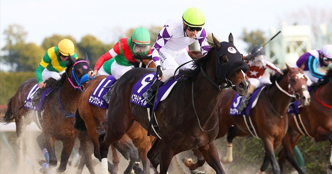 楽天市場】競馬 四季報の通販