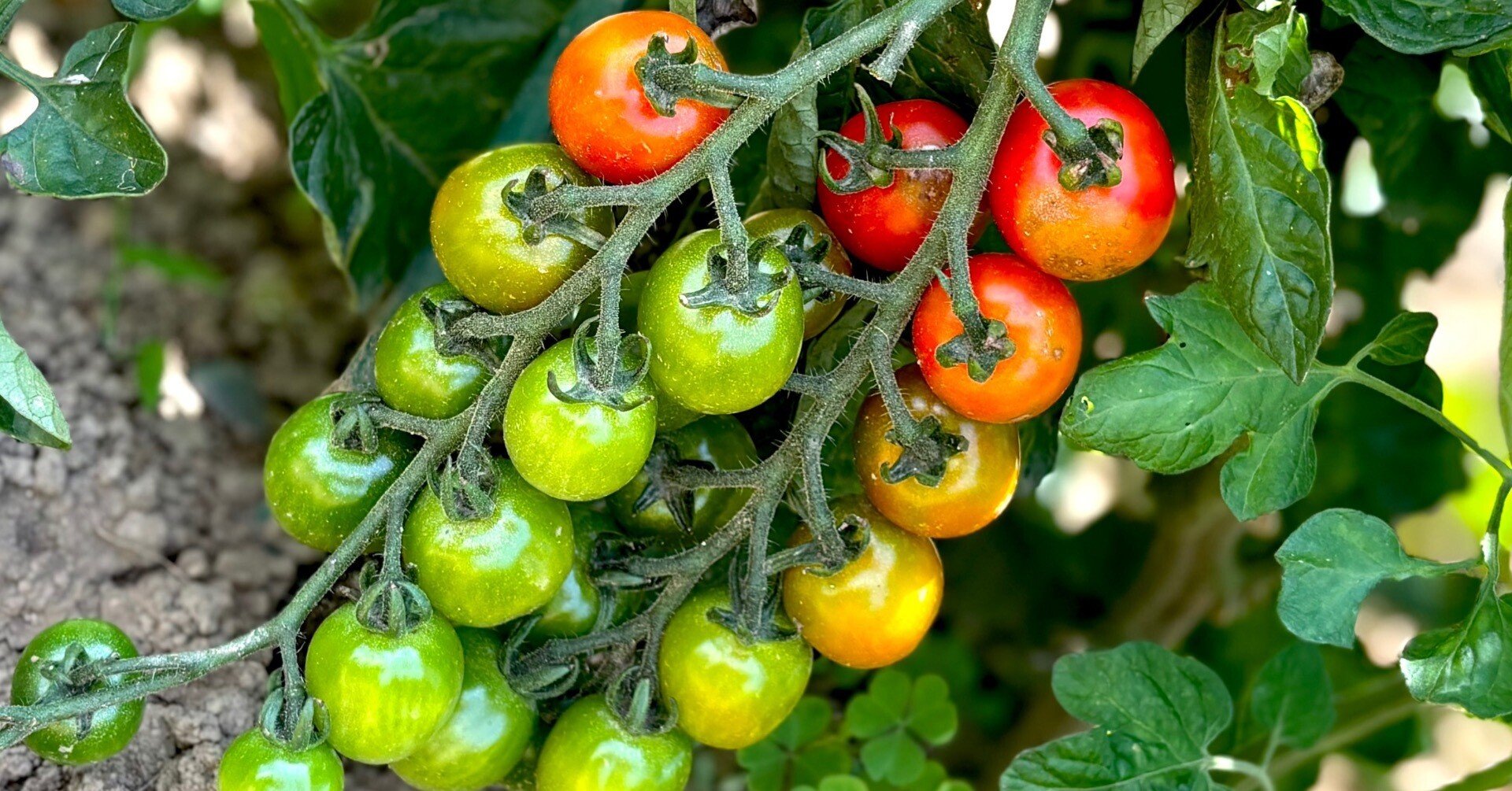 7bfd8ff507a5766374860763ea5ecb