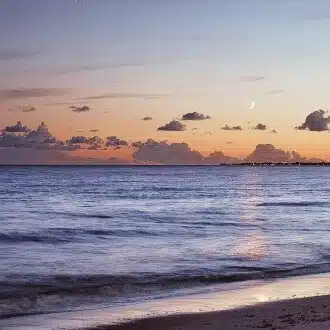 花月凪沙