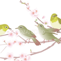 第5回 日本の不気味な野鳥 翆野 大地 Note
