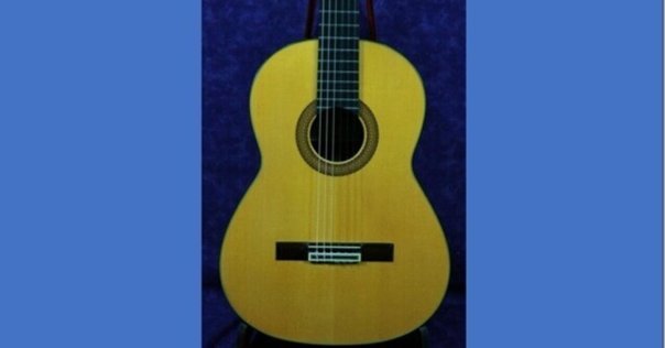 この半年で一番買ってよかったギター Aria Sinsonido AS-490C