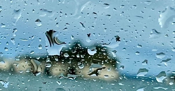雨の日の思い出を美化してもいいじゃない（ベトナム ハロン湾