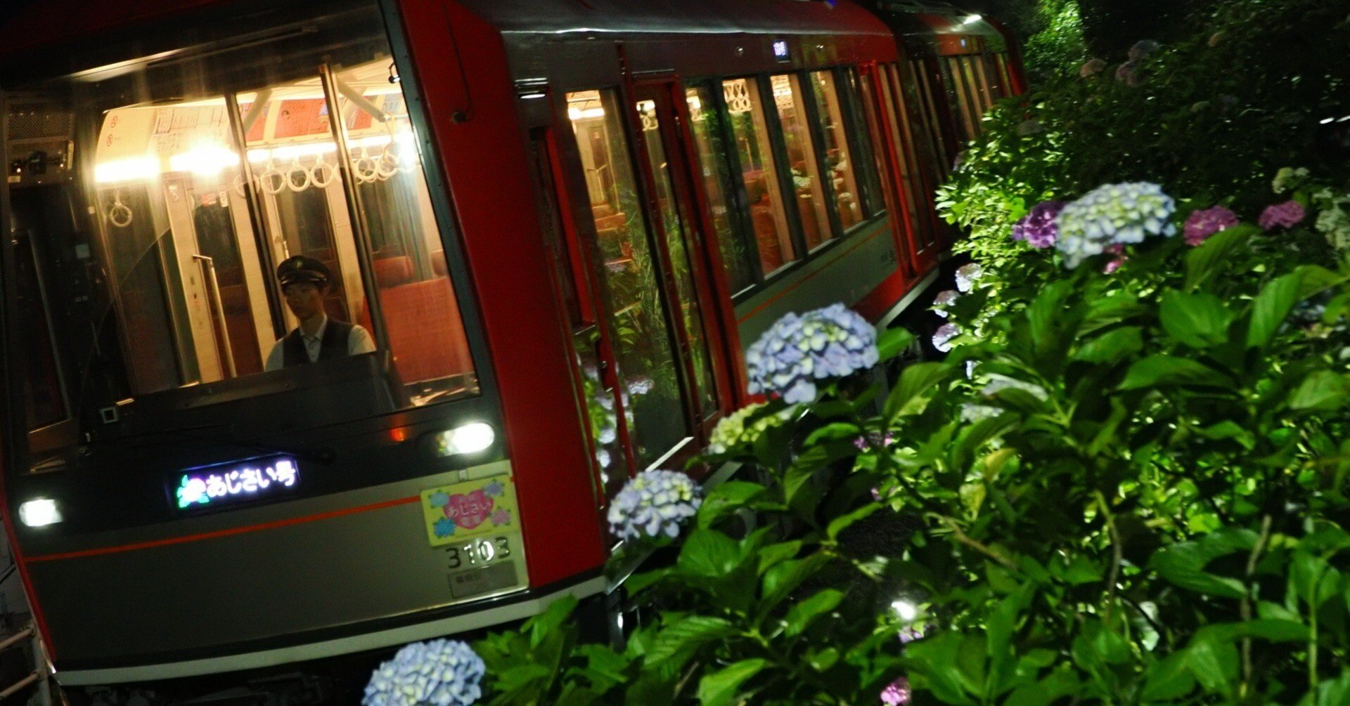 箱根登山鉄道あじさい電車 DVD | 鉄道模型店 Models IMON