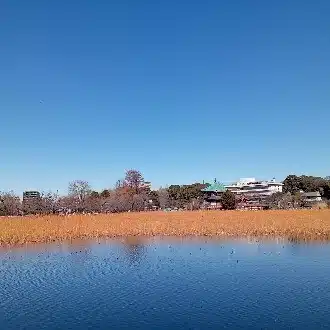 空音