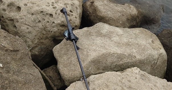 ローダウンカスタム×Swimbait24/7 8XH ローダウンカスタム シグネチャーモデル スイムベイト 24/7 Low