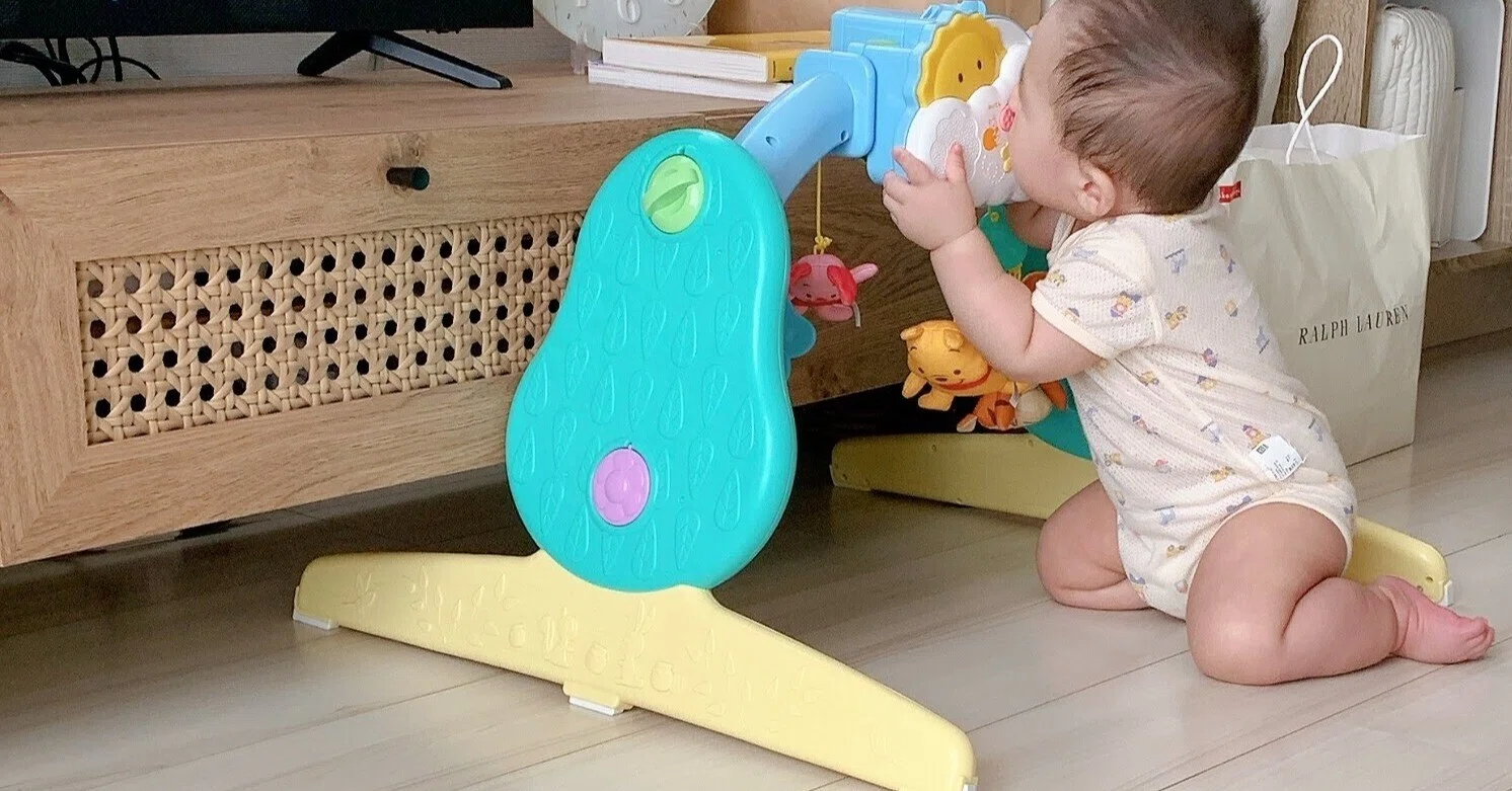 息子が1歳を過ぎて思う。いちばん長く使ったおもちゃ、やっぱり 