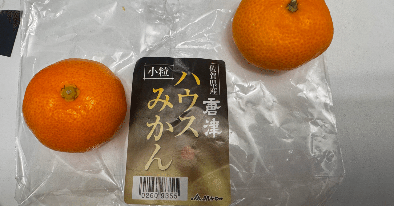 紀州有田みかん 秀品 約10kg サイズおまかせ（L・M・S）いずれ