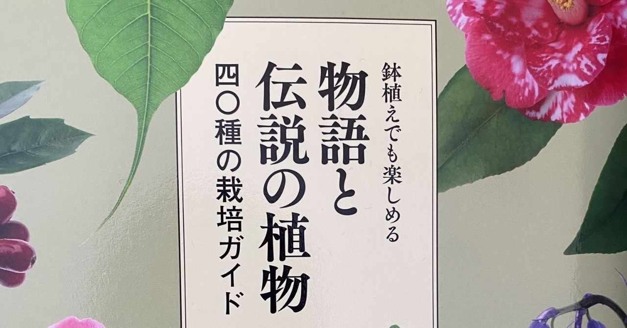 マンドレイク の新着タグ記事一覧 Note つくる つながる とどける