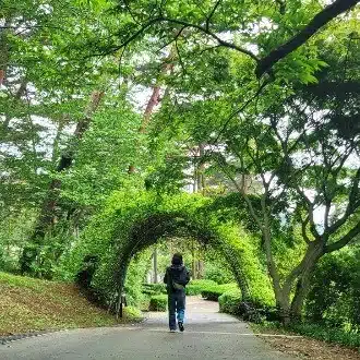 とのる