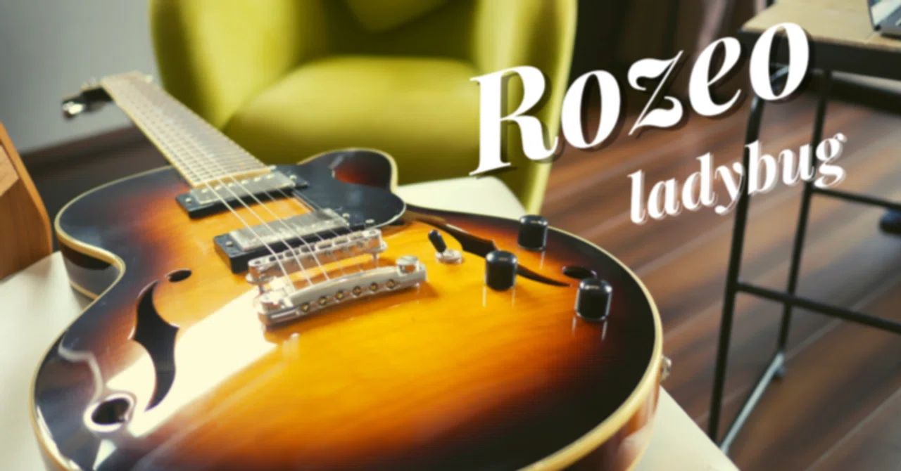 2本目のギターにRozeoのセミアコを選んで良かったこと｜ウエノアンコ