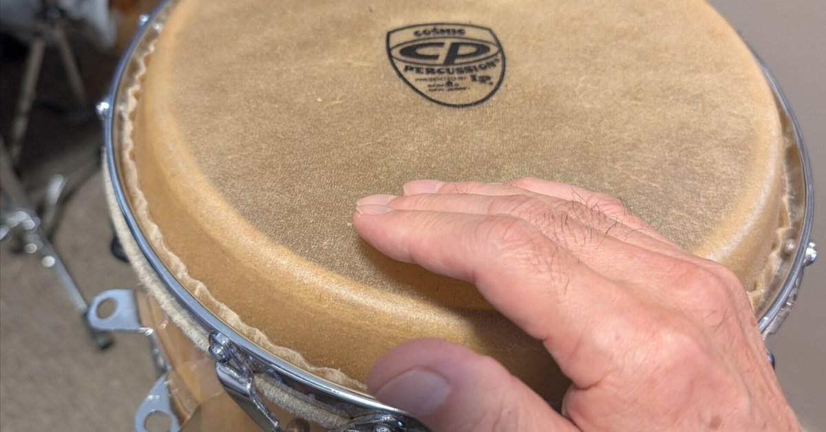 LPコンガ サルサモデル キント LP PATATO Signature Fiberglass Quinto