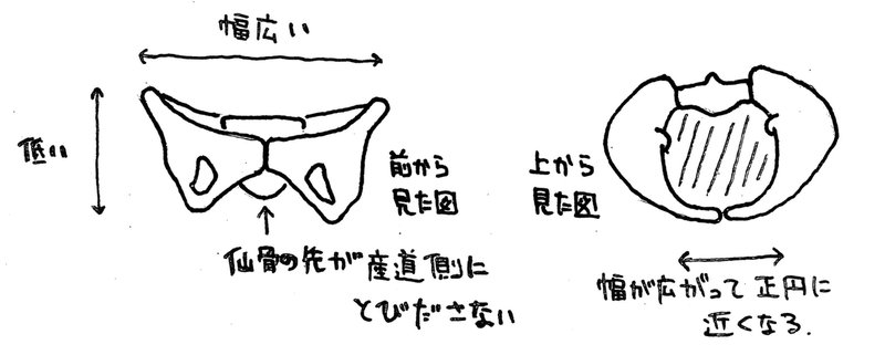 大きな頭を産むときに あんそろぽろじすと Note 大きな頭を産むときに あんそろぽろじすと Note