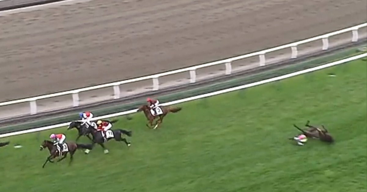 函館7Rでの落馬事故｜通りすがりのパチンカー🎈【下剋上の競馬
