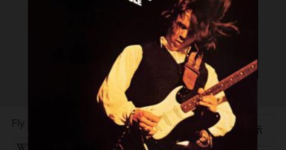 スティーブ・ミラーバンド Steve Miller Band / Fly Like An