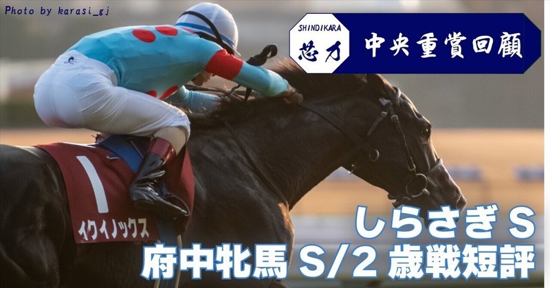 中山雲水　競馬最終レースの法則 楽天ブックス: 競馬最終レースの法則 - 中山雲水の虎の巻 - 中山