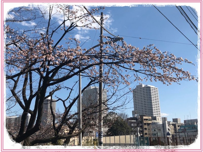 もうすぐ春ですね ちょっと気取ってみませんか Ryoju Note