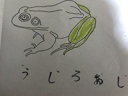 かえる４