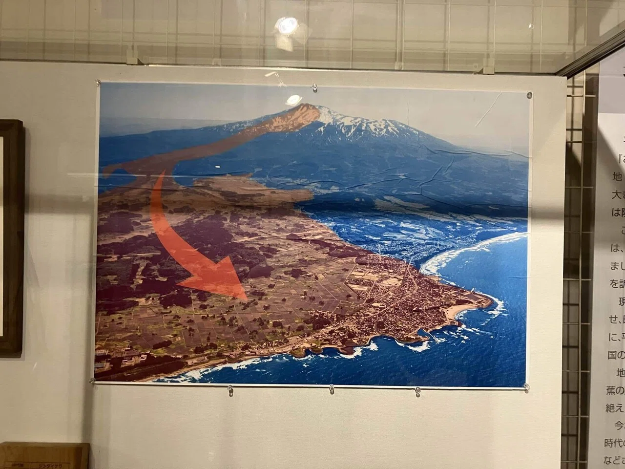 山田秋坪　花図　箱なし　MA910 山田秋坪 花図 箱なし MA910 山田秋坪 花図 箱なし MA910 山田秋坪 花