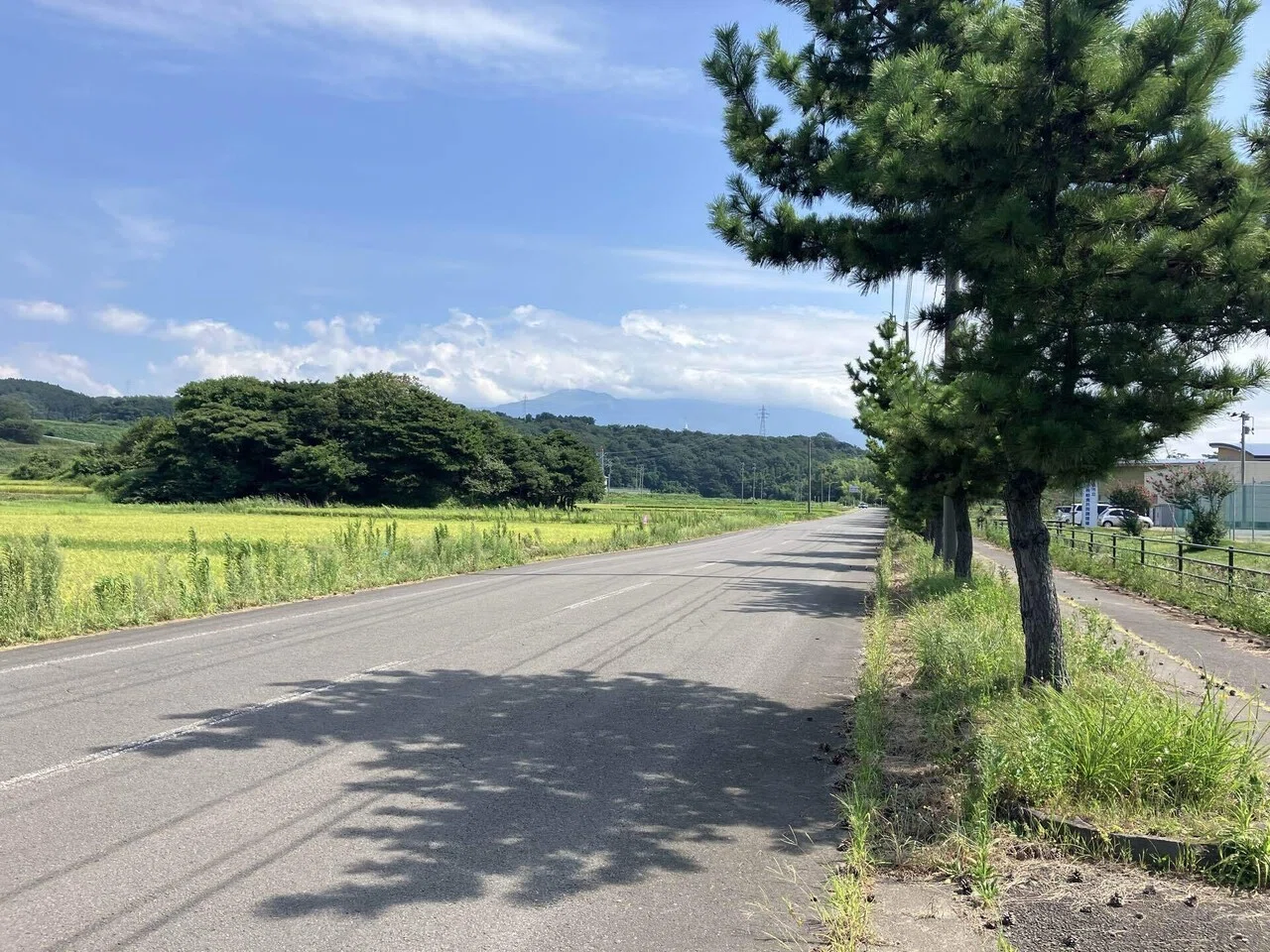 名道500】🥉秋田県｜奥の細道・九十九島象潟のみち（にかほ市）｜17km