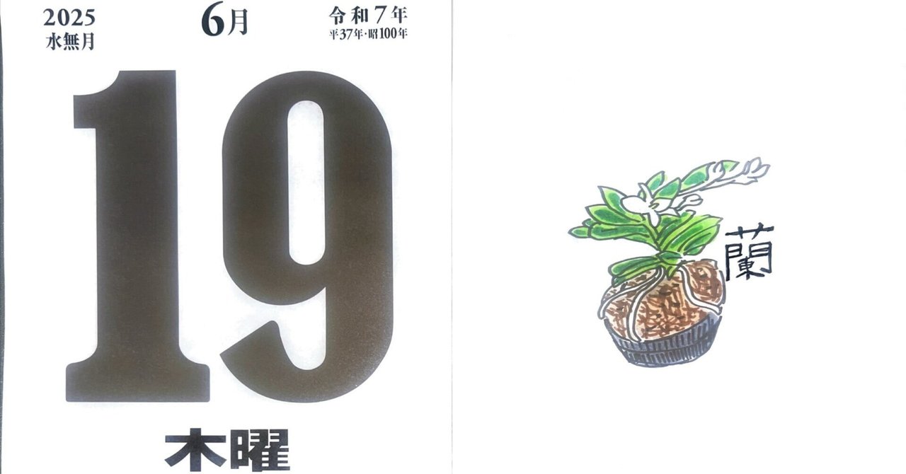富貴蘭 南国の舞が咲きました。 | tomの気まぐれ花日記