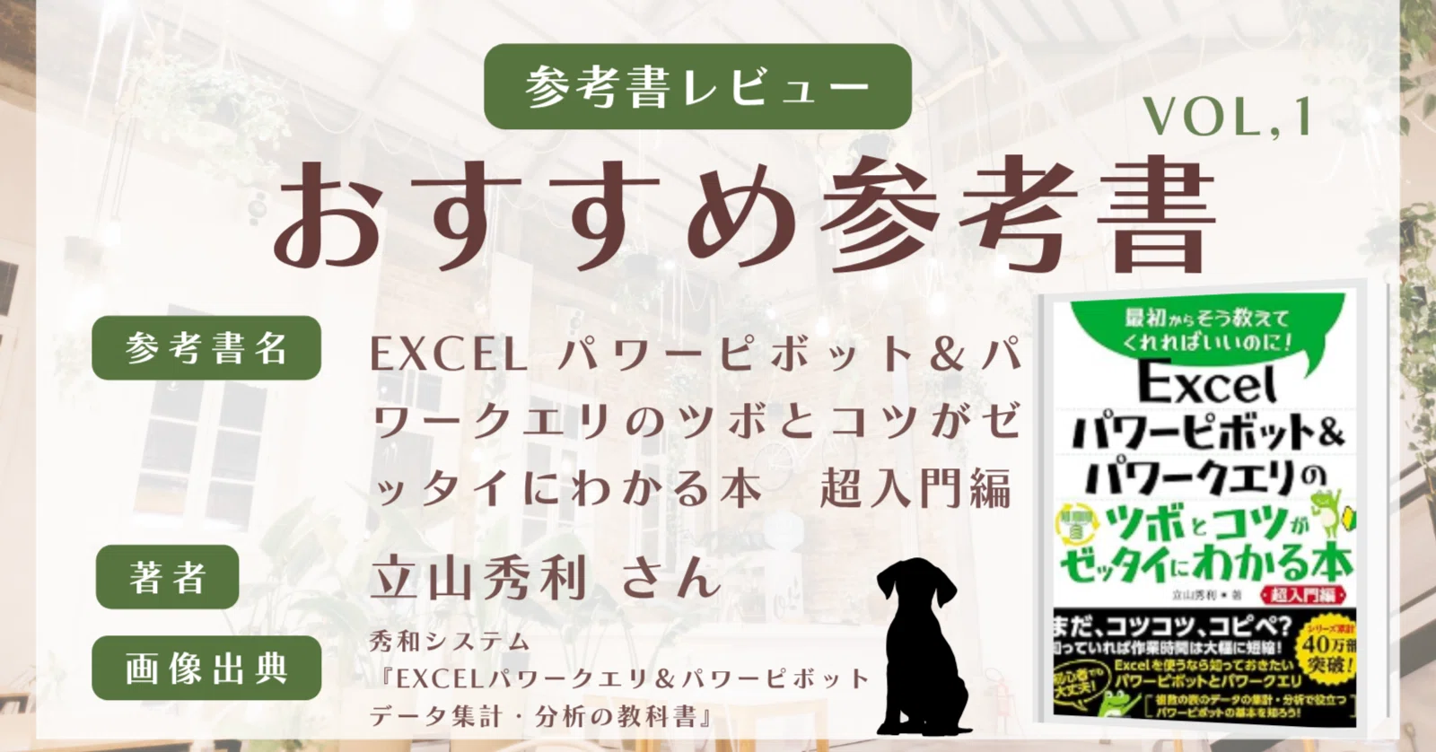 本レビュー【Excel パワーピボット＆パワークエリのツボとコツが
