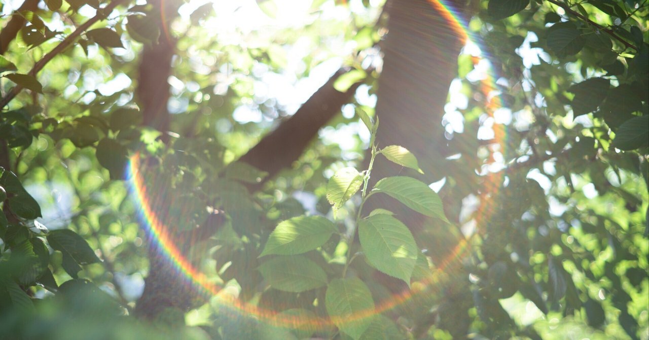 作例あり】Super-Takumar 55mm F1.8｜光を綴るnote｜本間写真事務所