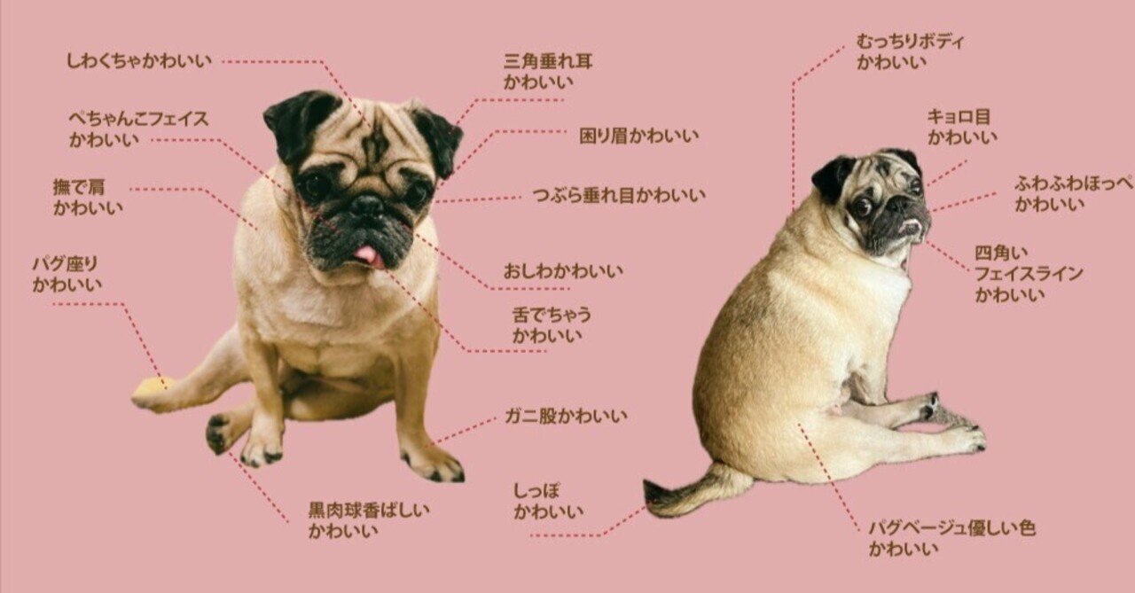 with me!』PUG 」に詰まったこだわりと、制作秘話｜yukino