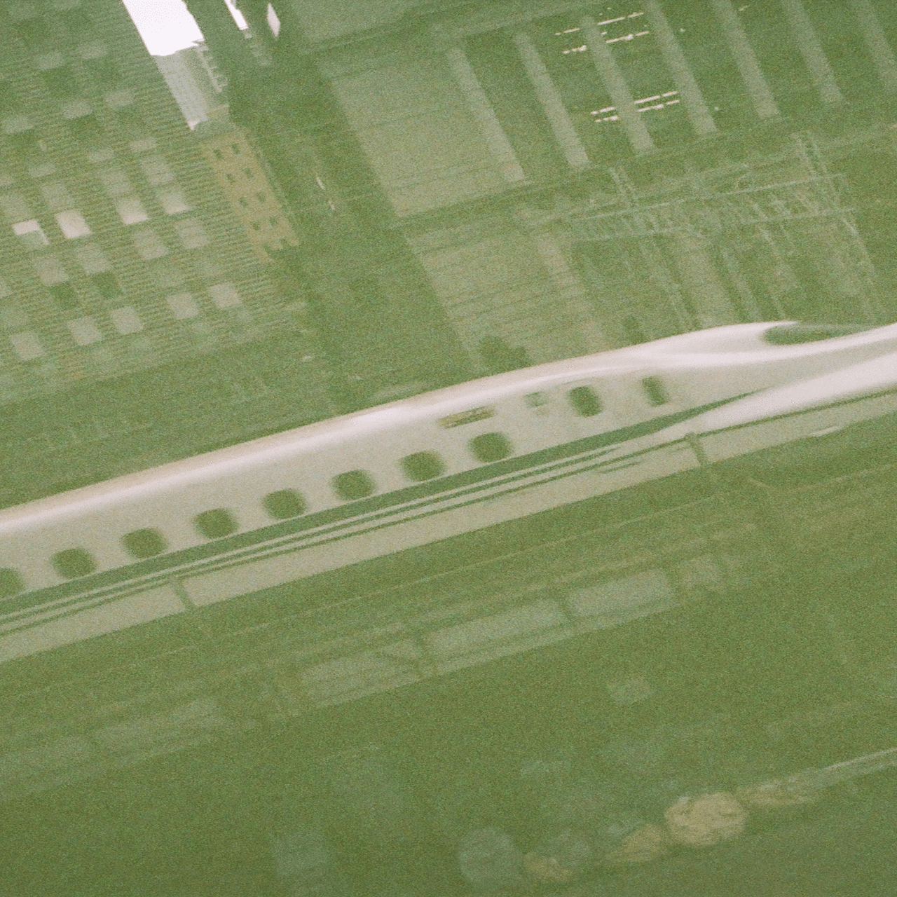 【有効期限切れ】フィルム 20年経った「期限切れフィルム」｜タカハシコウキ