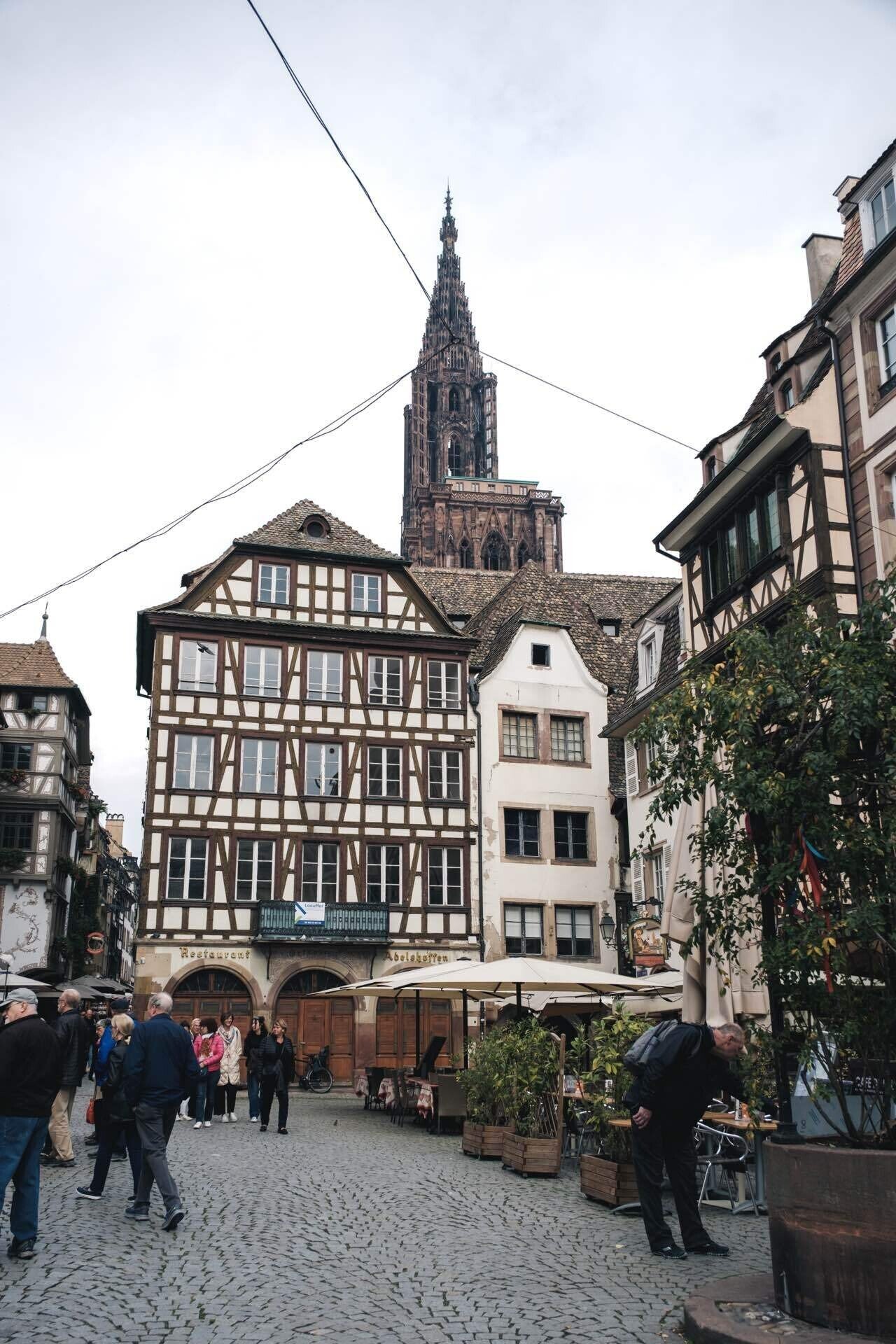 人生初の海外旅行で見た世界】#5🇫🇷 壮麗な大聖堂のステンドグラスに