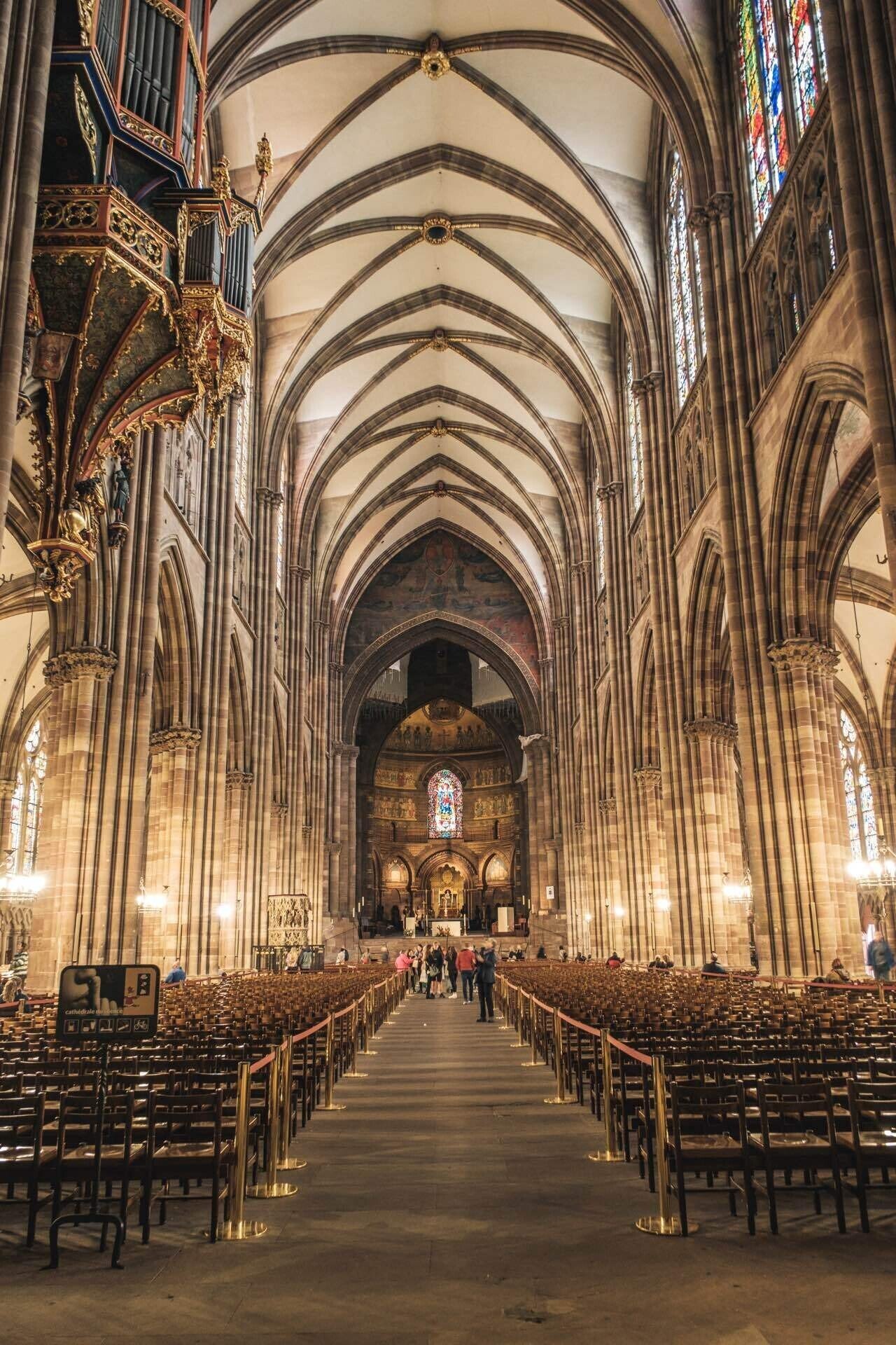 人生初の海外旅行で見た世界】#5🇫🇷 壮麗な大聖堂のステンドグラスに
