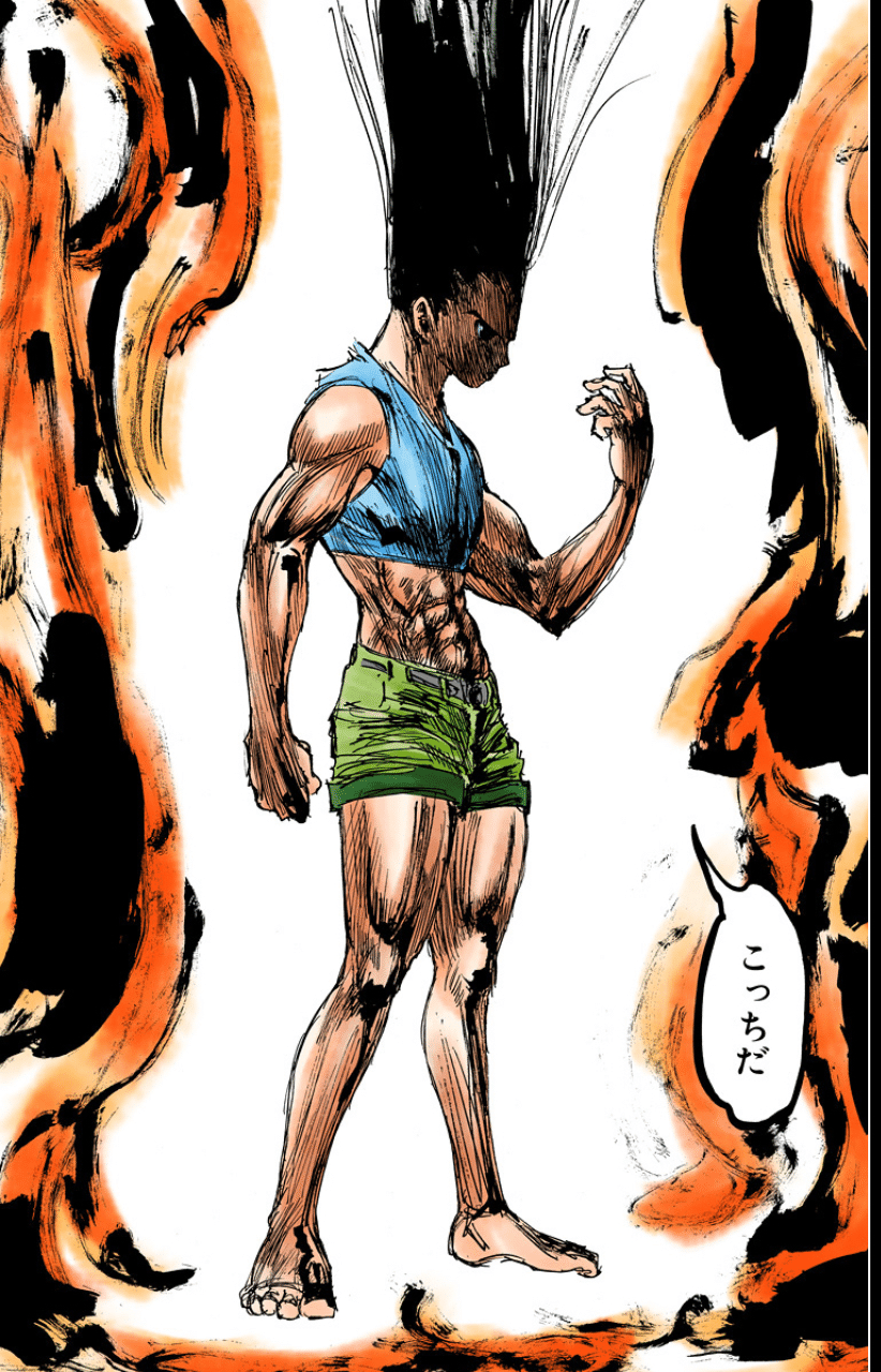 ももゴンさん専用 HKDSTOY HUNTER×HUNTER [ゴン=フリークス] モノクロver
