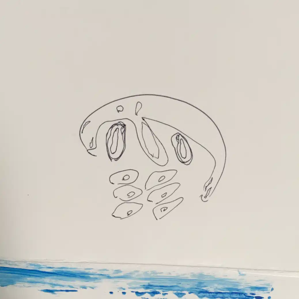 樺山太地