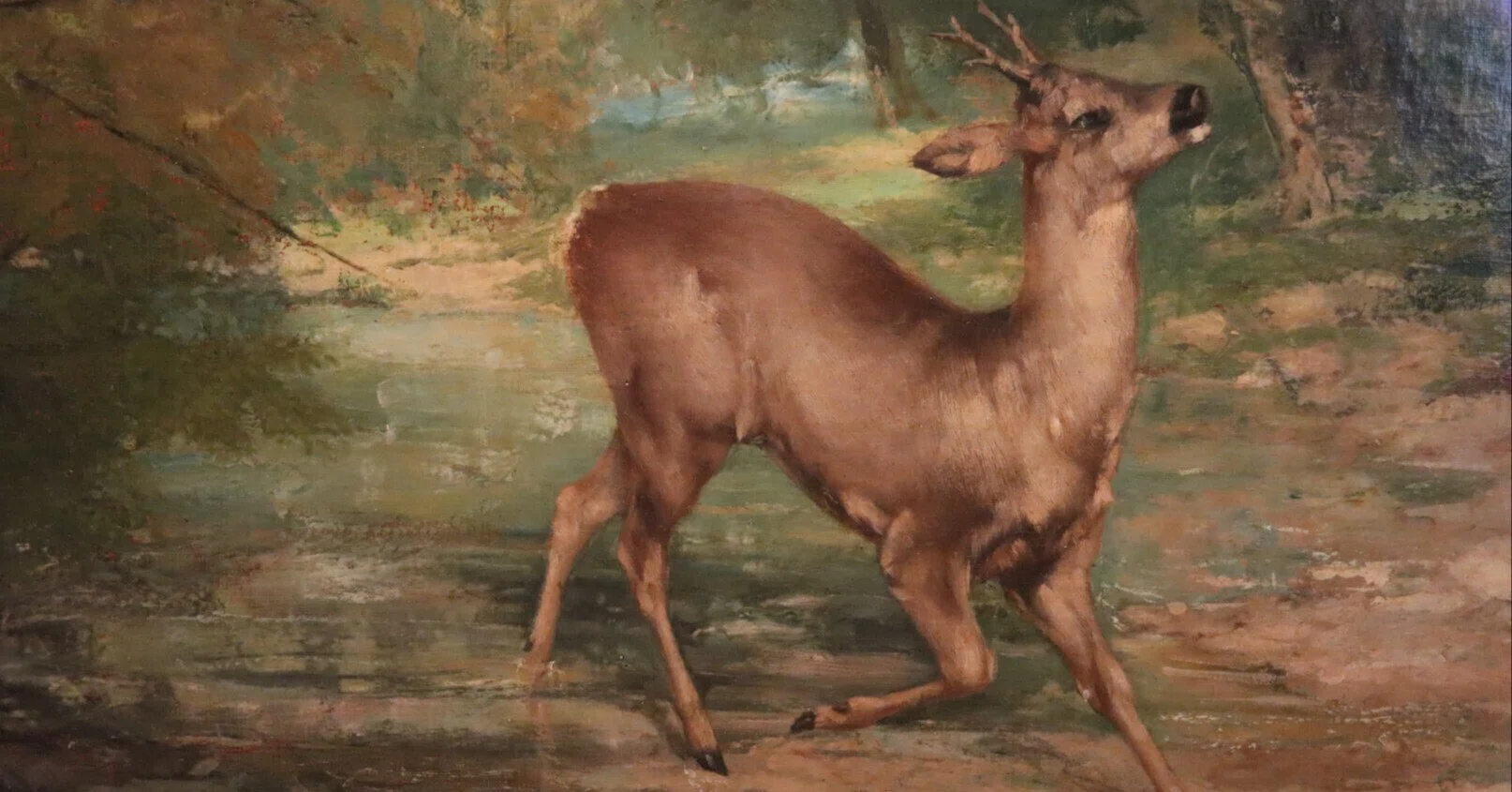 フランスでMusée Courbetを訪れる ｜シマ子