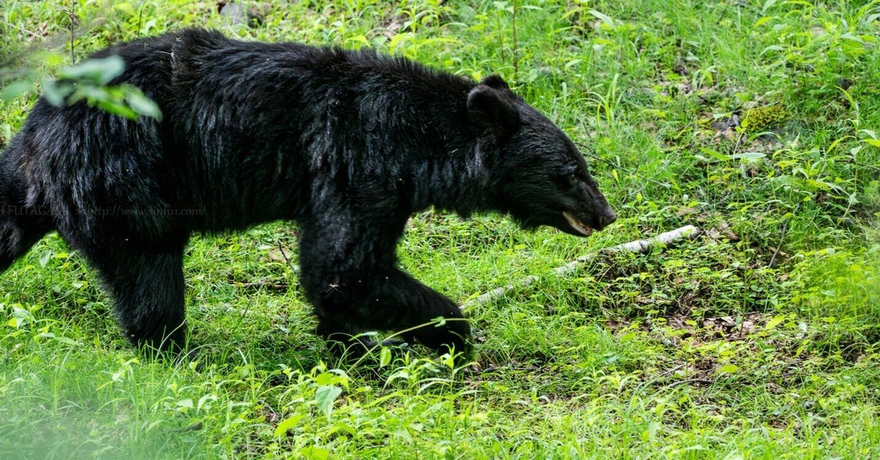 足もとを探して。｜Sinh