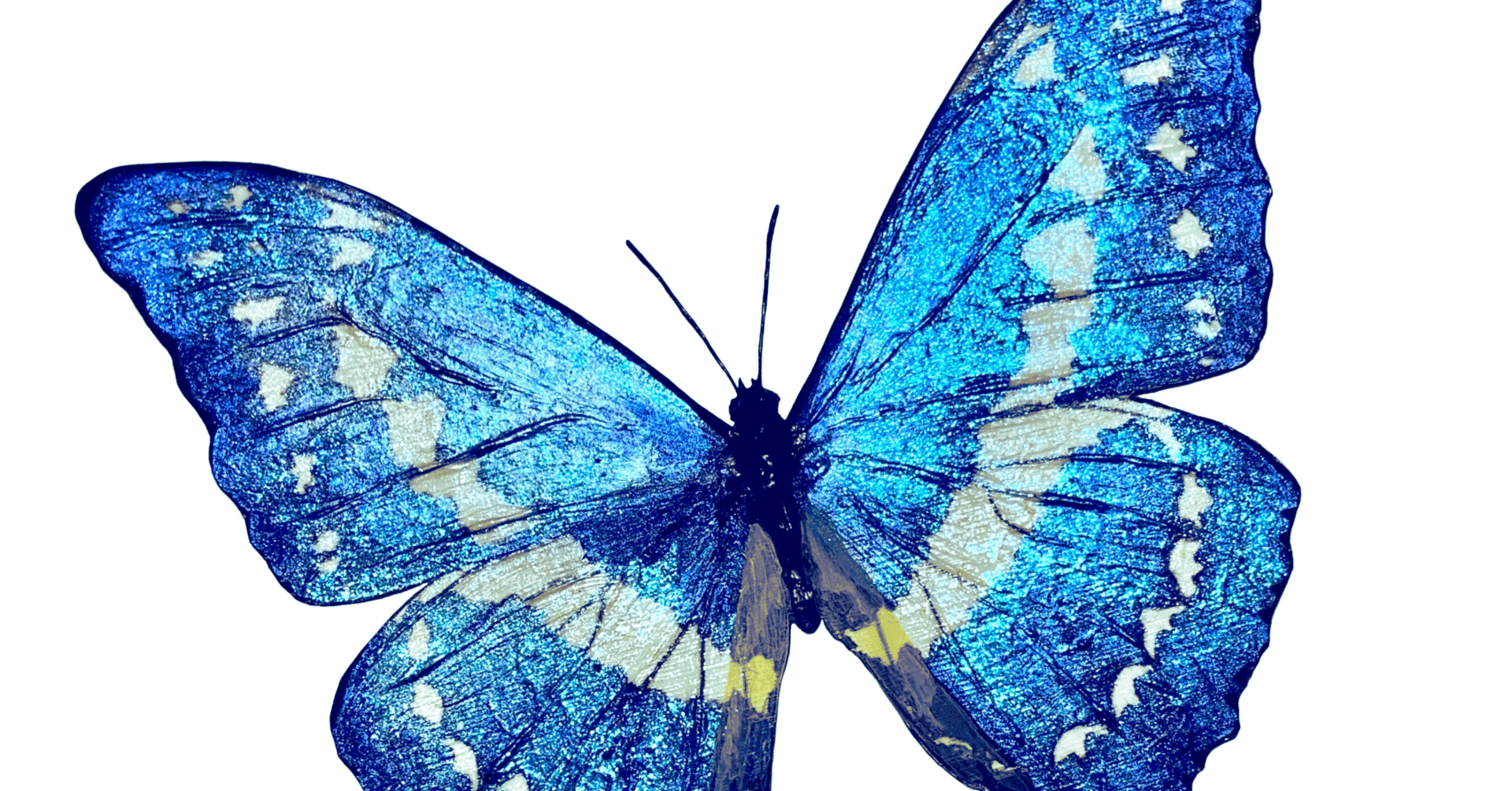 小説】「蝶のアート」（長尺版）｜ものすごく綺麗な翅をした虫（怪人