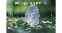 気になる本：断易釈故・易経精髄〔合本〕 ｜キヨマツ