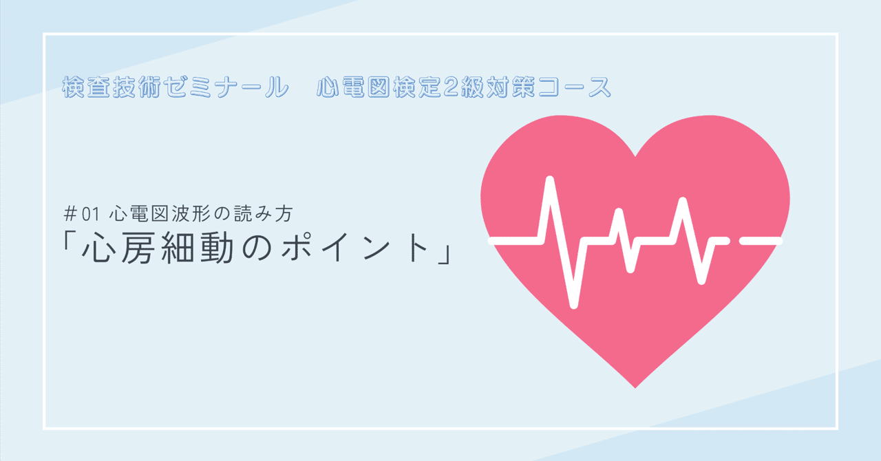 心電図波形の読み方：心房細動のポイント｜ケンゼミ 心電図検定