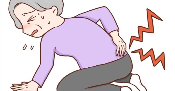【セット】バイオメカニクスと動作分析 臨床研究、バイオメカニクス研究（運動器外科学） - 基礎研究