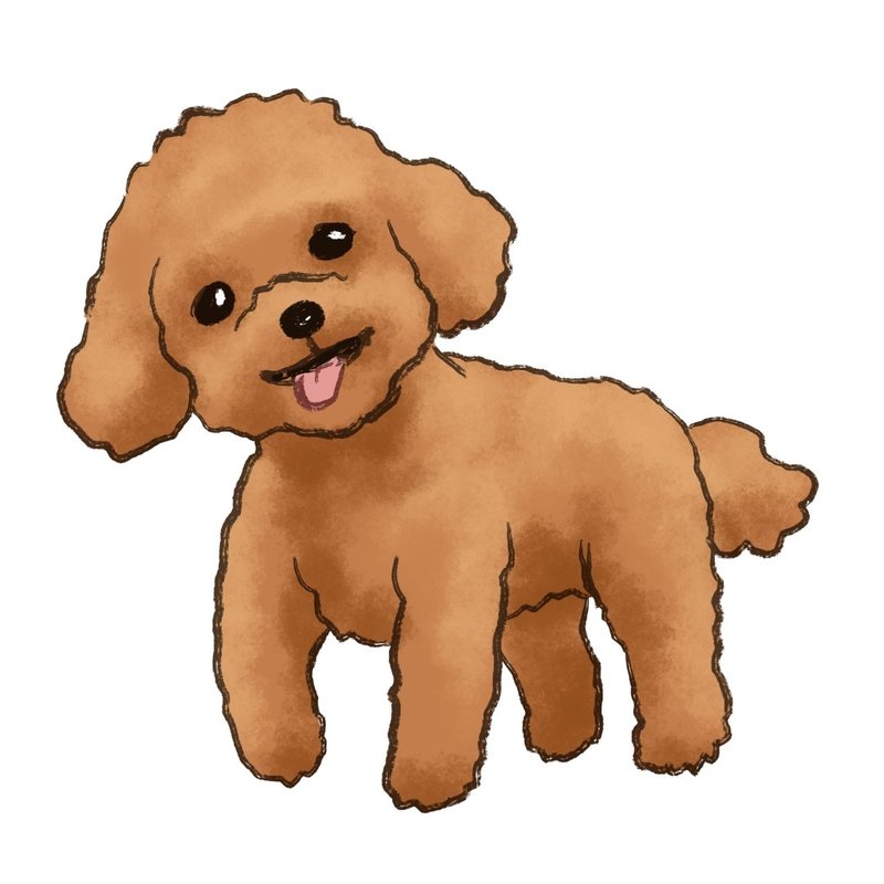 ペットのトイプードルの型紙を作ります W ｕ ソメチカ 染千伽 Note