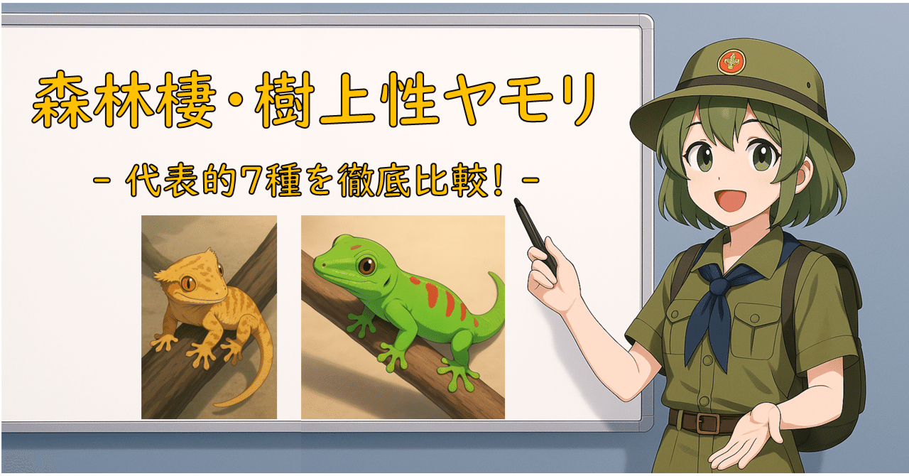 森林棲・樹上性ヤモリ】木登りヤモリの世界へようこそ ― 代表的