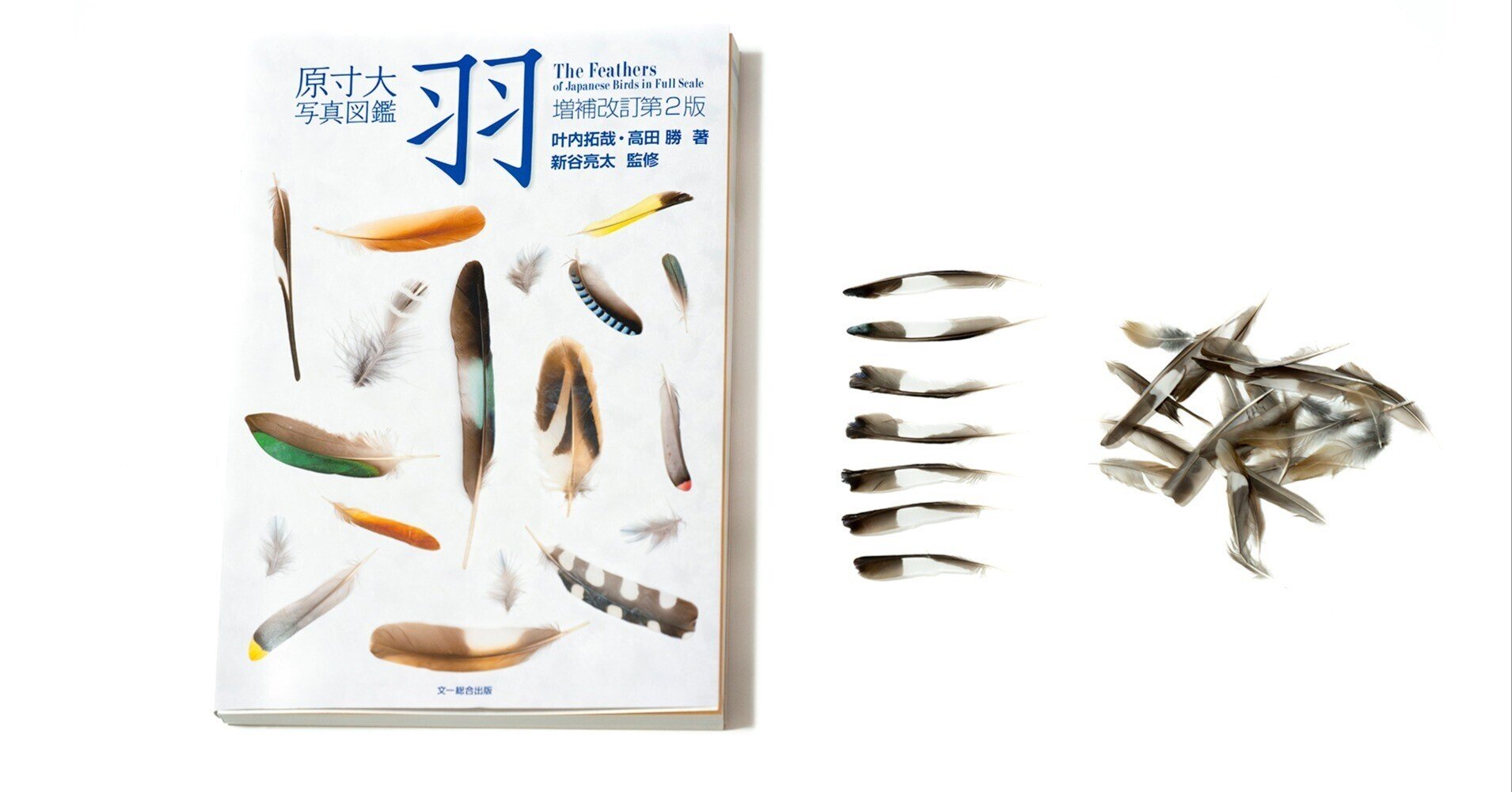 羽 : 原寸大写真図鑑 原寸大写真図鑑 羽 ⁄ 叶内拓哉⁄高田勝 - 紀伊國屋書店ウェブストア