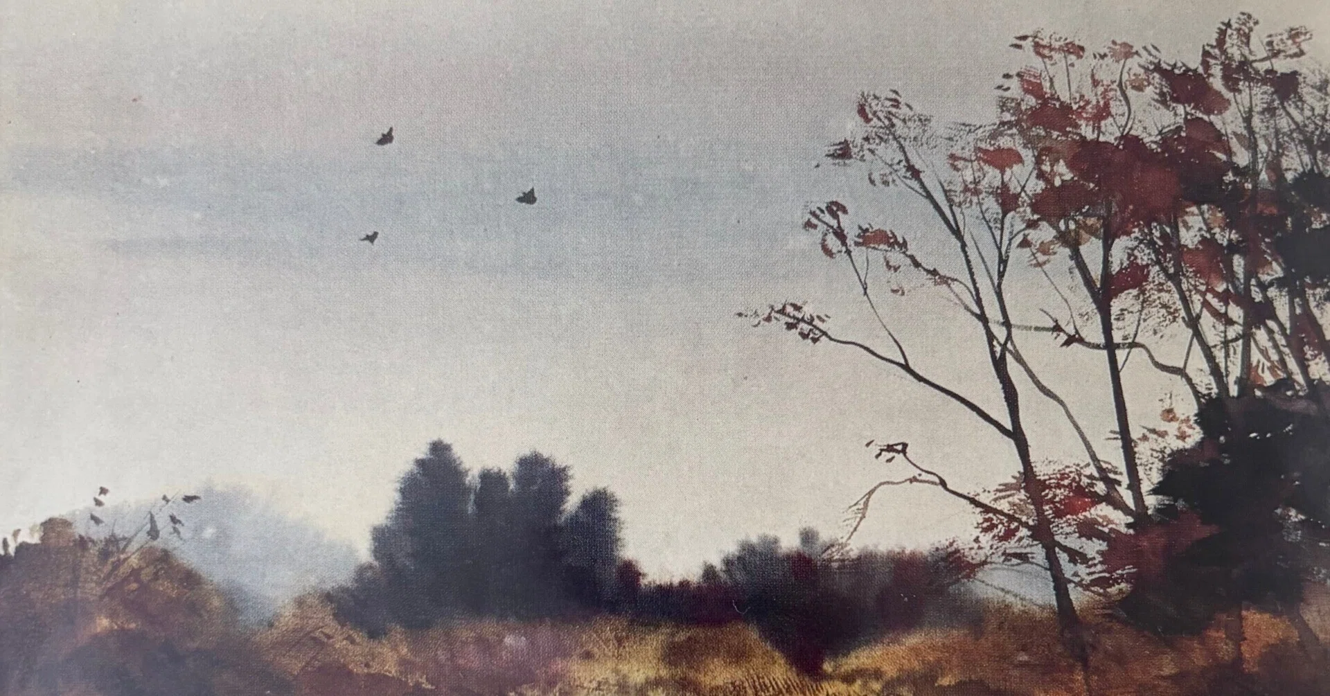 悳 俊彦さんの絵 橋 油彩画 水彩画への郷愁』 悳俊彦｜悳俊彦 Toshihiko Isao