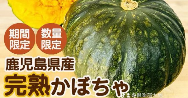 茨城県産　有名ブランド　江戸崎カボチャ　7玉セット 東郷菓子舗 お菓子セット [0114] | 茨城県稲敷市 | ふるさと納税