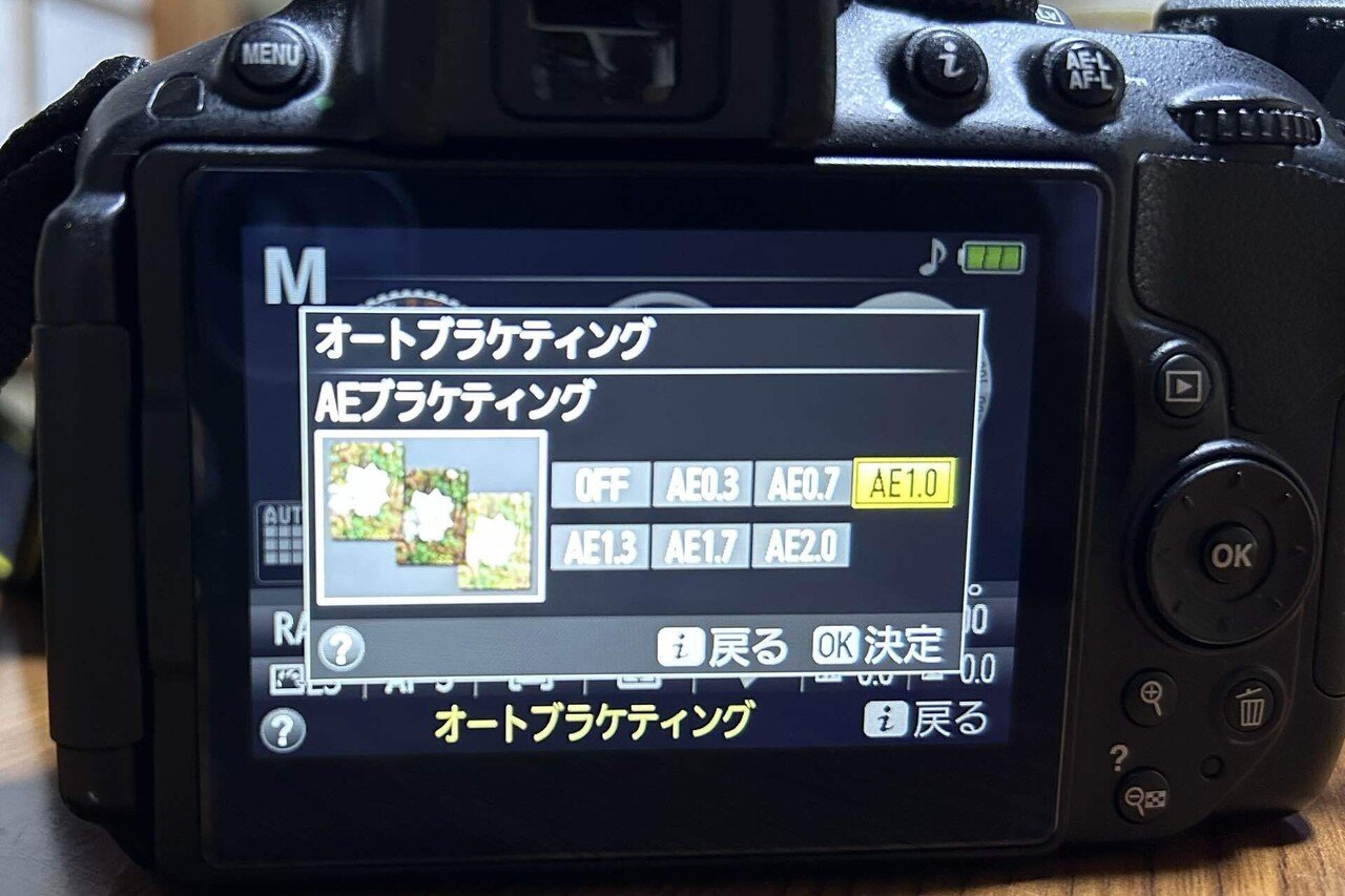 D5300で初めてのオートブラケティング｜SuzukenSambar