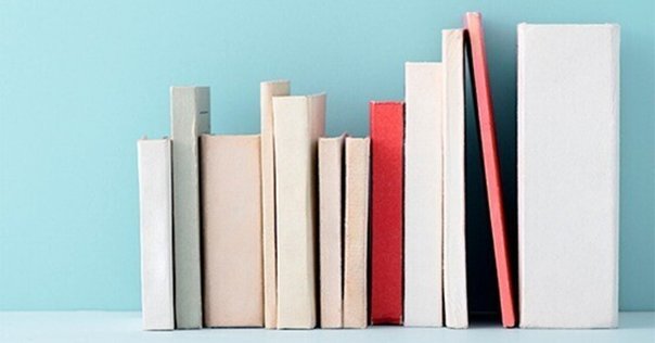 寺沢弘樹「実践！ PPP/PFIを成功させる本」｜イクメンママの読書日記