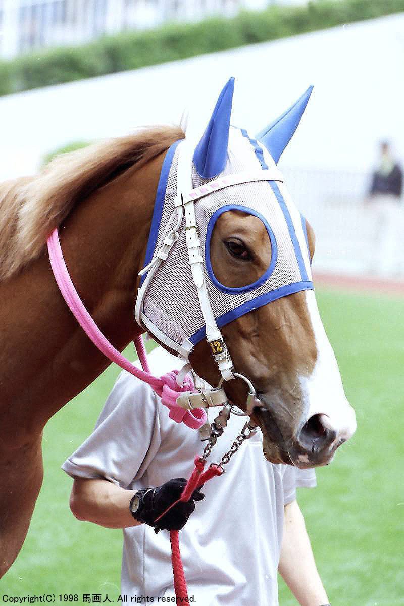 イヤーマフ　有馬記念　welcome チャンス 栗毛 有馬記念 JRA welcome チャンス イヤーマフ (栗毛) コレクション