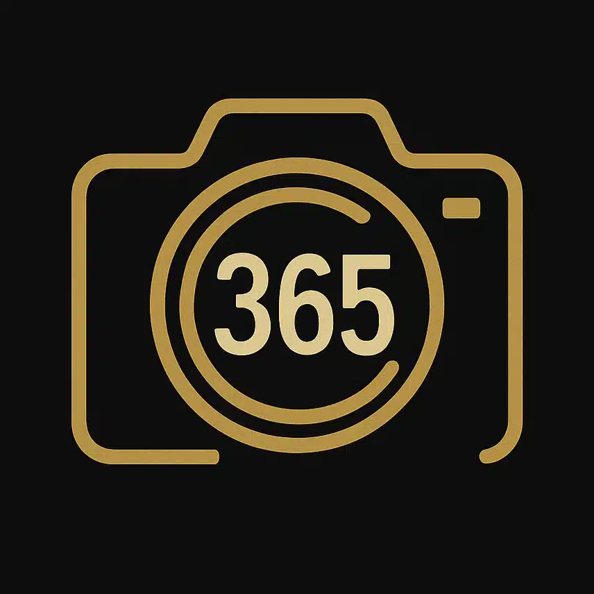 365days365films